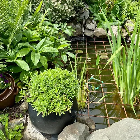 Apartment Kniep Wernigerode