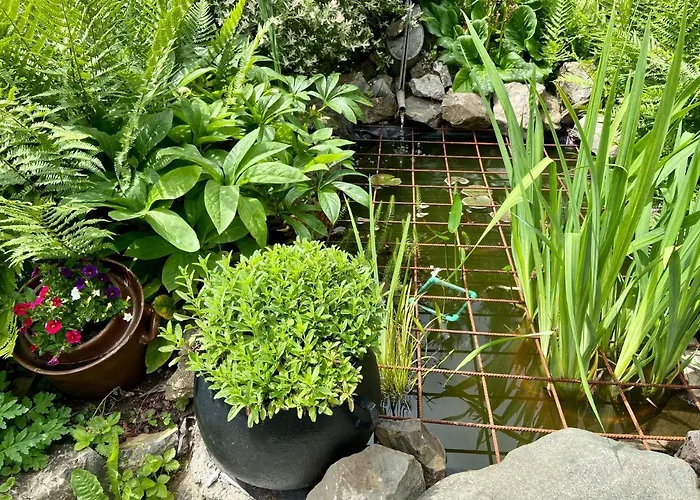 Διαμέρισμα Kniep Wernigerode